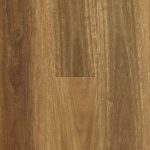 Spotted Gum 178mm