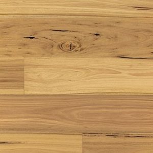 Blackbutt 136mm