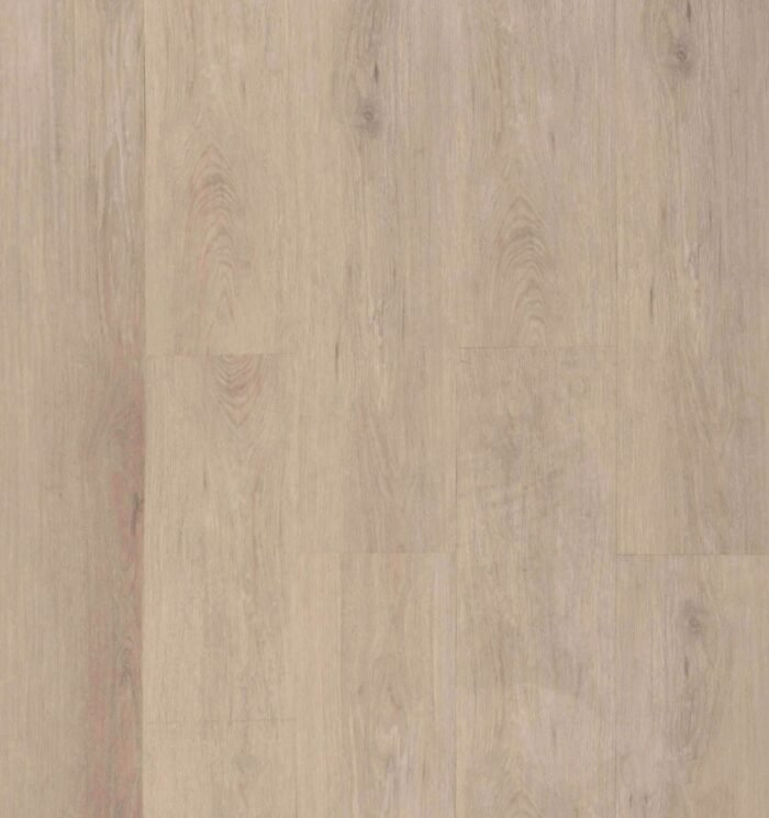 Golden Elite - Designer - Urban Oak