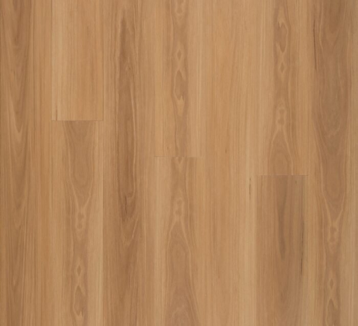 Golden Elite - Designer - Blackbutt