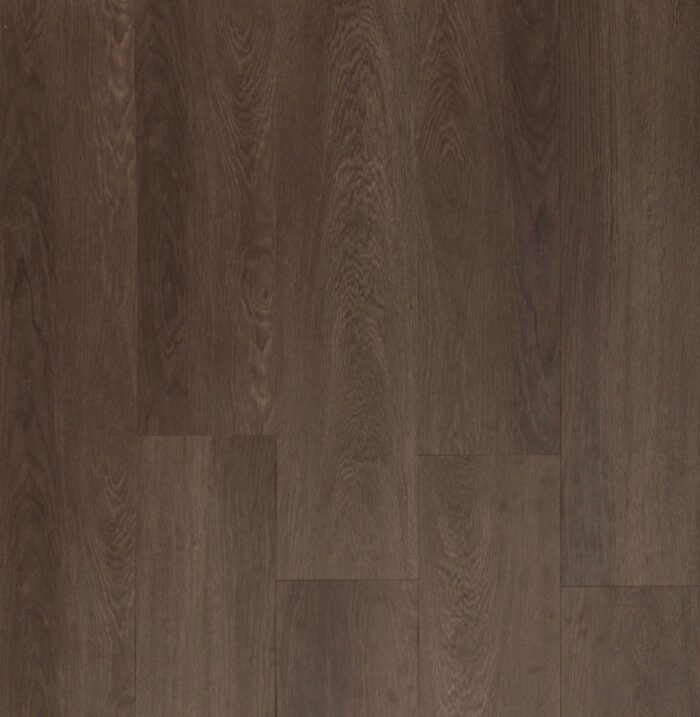 Golden Elite - Designer - Saddle Oak