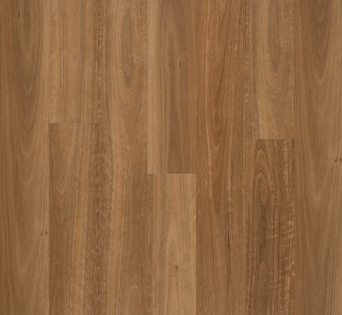 Golden Elite - Designer - Spotted Gum