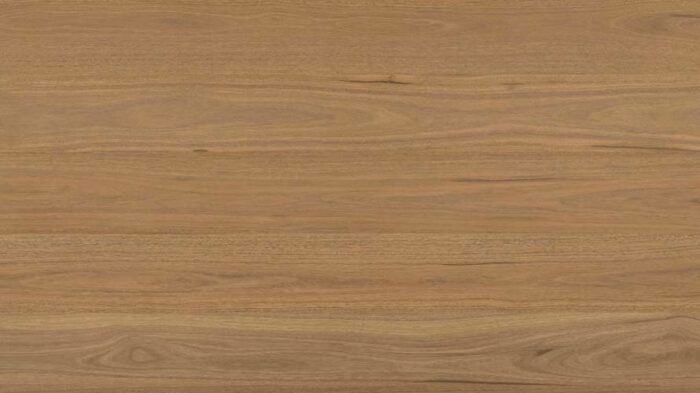 Clever Choice - Shield Everlast - Atlantic Spotted Gum