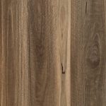 Spotted Gum