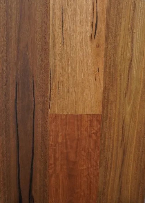 Riverhill - Australian Classic - Spotted Gum Rustic Grade