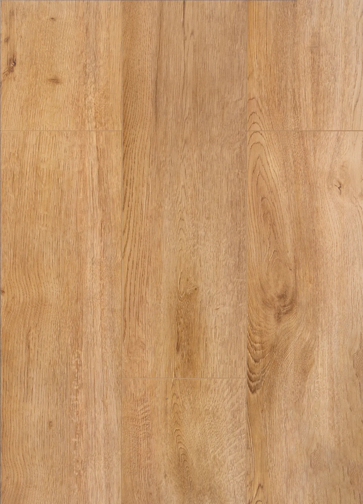 IKA Specials - 12.3mm Laminate - Tasmania Oak