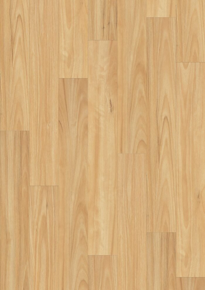 HTT - Hydrocore - Blackbutt