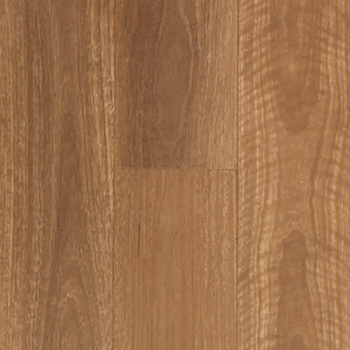 Preference - Aspire (QLD Spotted Gum)