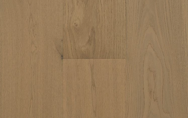 Australian Select Timbers - Artistry Collections Insignia Oak - Begonia