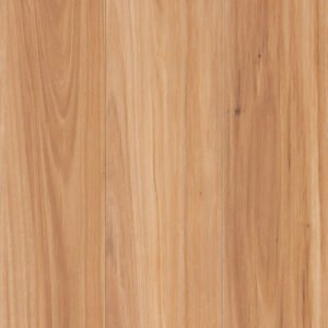Terra Mater - NuCore Excellence - Coastal Blackbutt