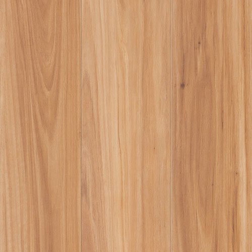 Terra Mater - NuCore Excellence - Coastal Blackbutt
