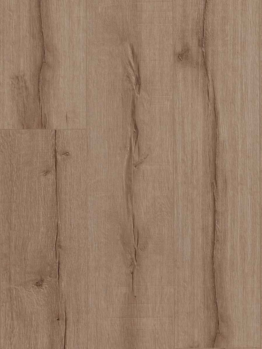 HTT - MTF - Lugano Oak