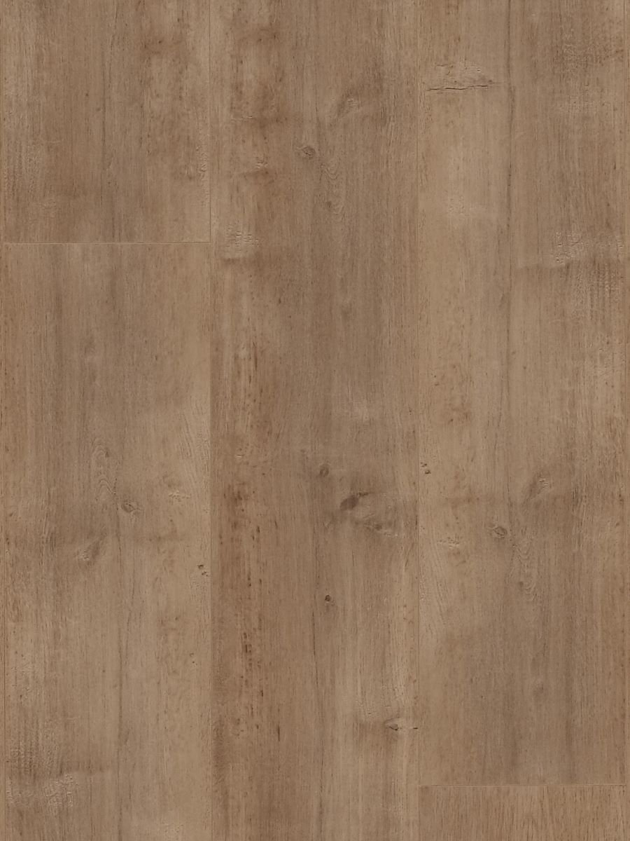 HTT - MTF - Coastal Ivory