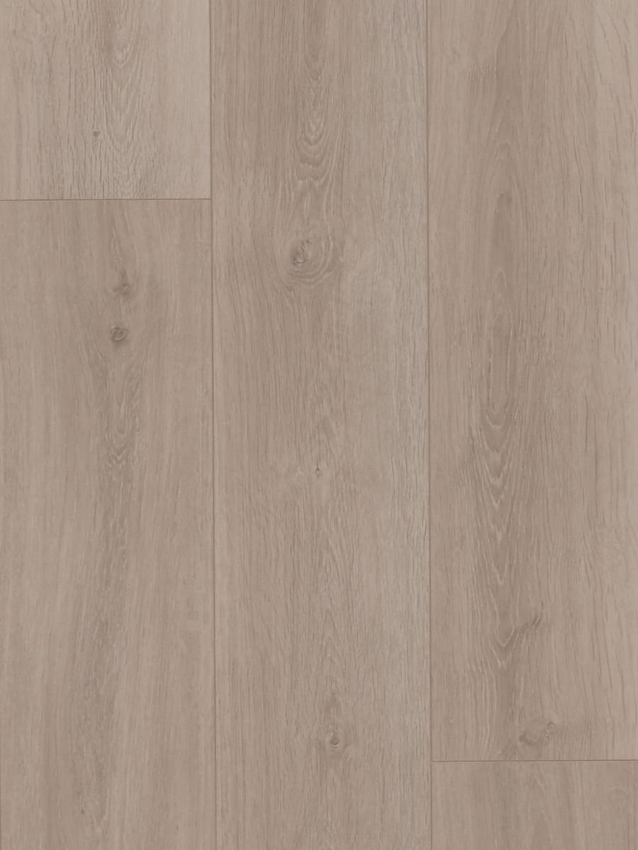 HTT - MTF - Driftwood