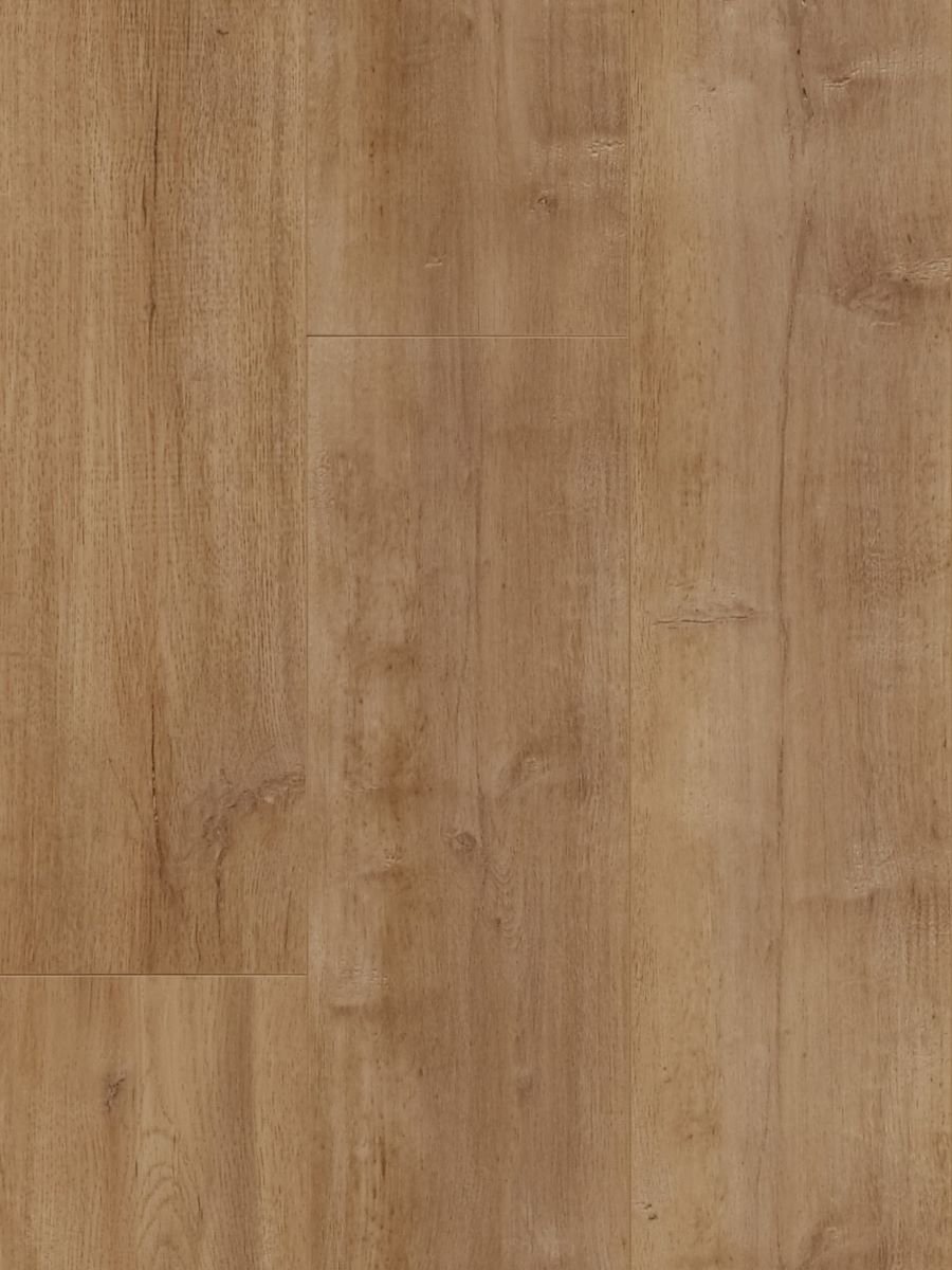 HTT - MTF - Towny Oak