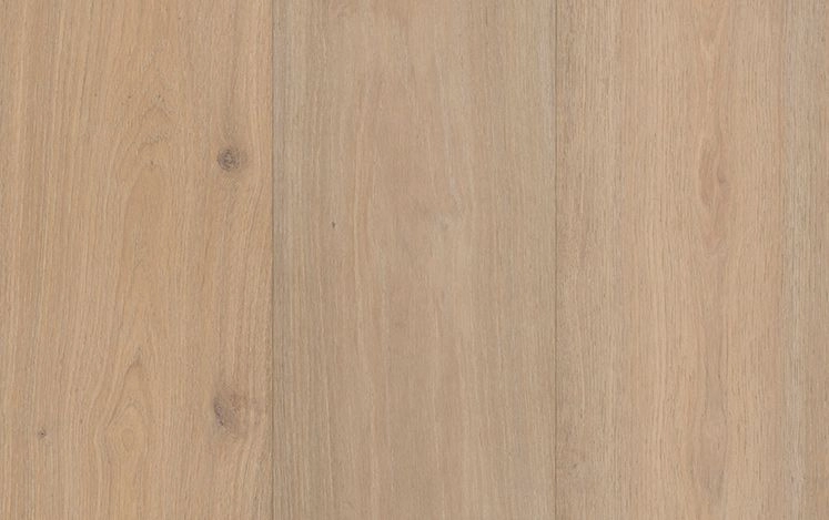 Australian Select Timbers - Artistry Collections Insignia Oak - Marigold