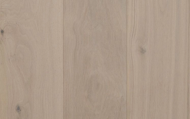 Australian Select Timbers - Artistry Collections Insignia Oak - Snowdrop