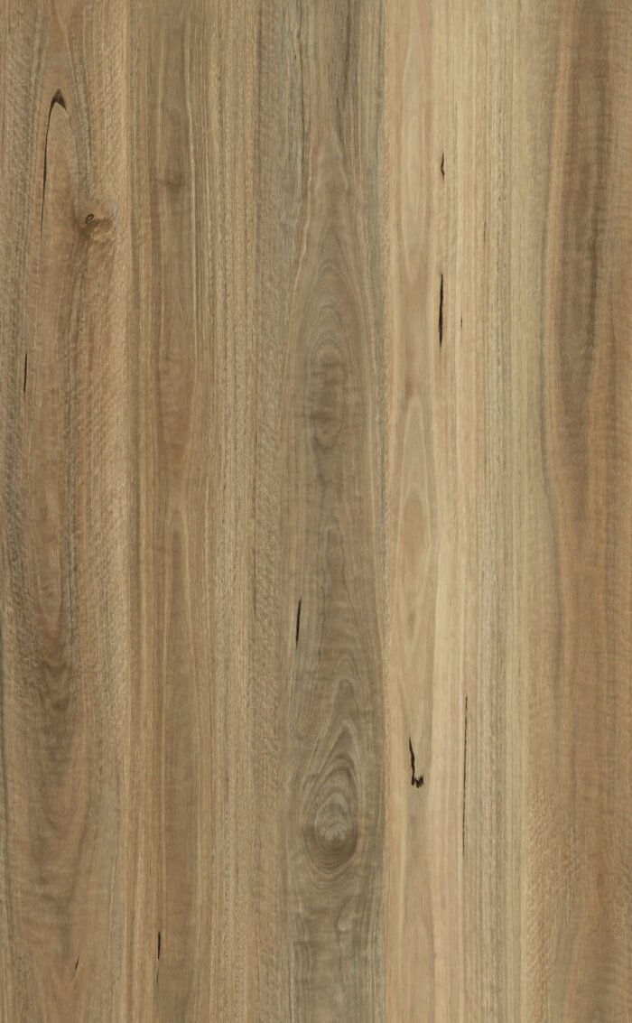 Chameleon Flooring - ELSAplus - Spotted Gum
