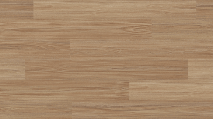 Clever Choice - Vinyl Voyager - Andromeda Blackbutt