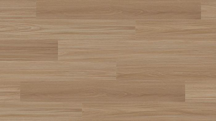 Clever Choice - Vinyl Voyager - Antares Blackbutt