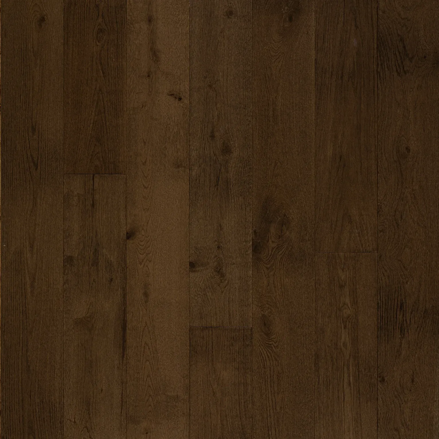 Golden Elite - Opulence - Latte Oak
