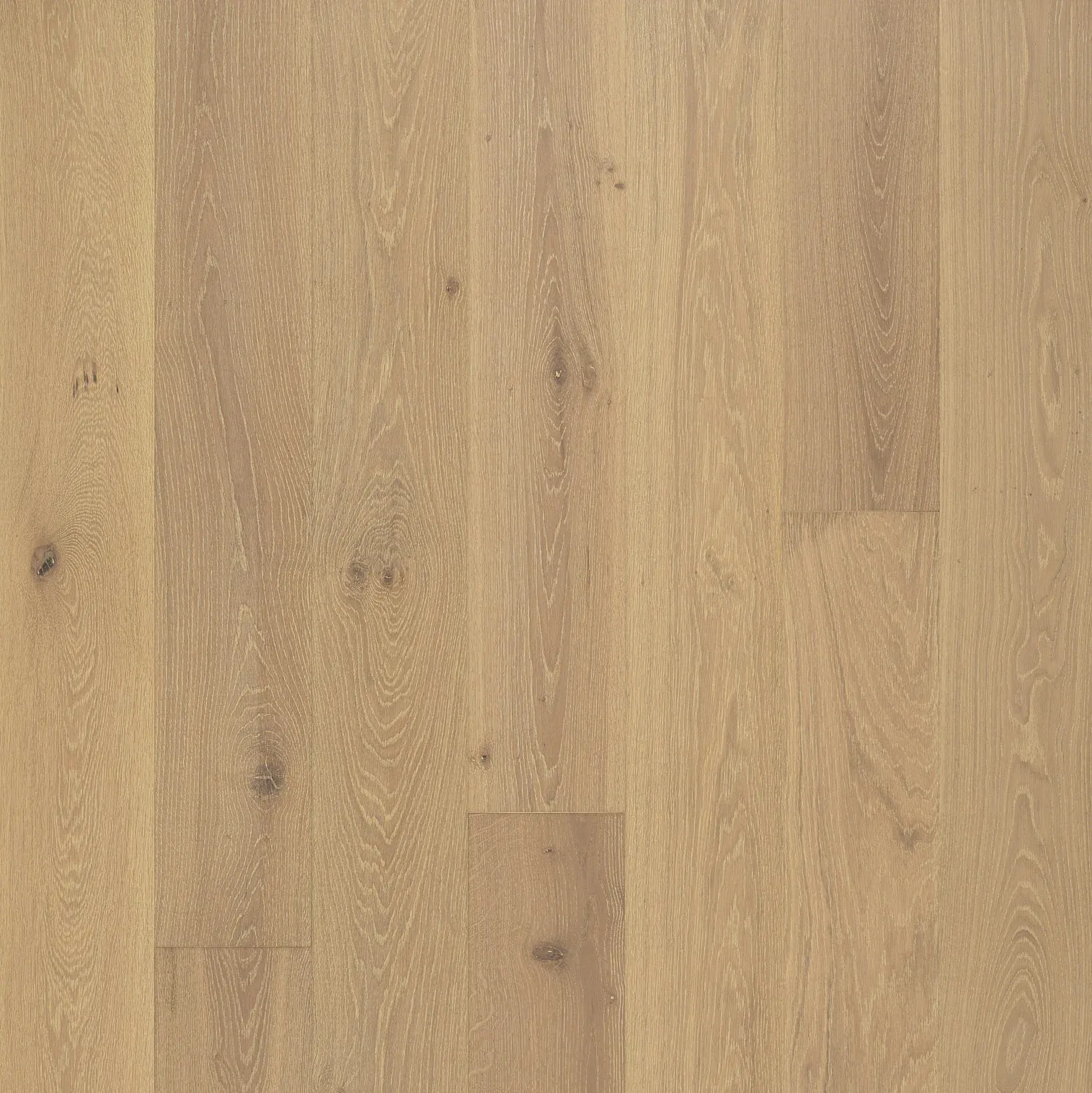 Golden Elite - Opulence - Limed Oak