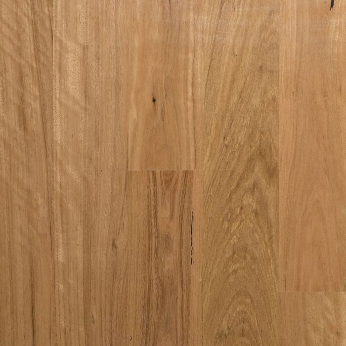 Preference Floors - Select Australian Timber - MB Blackbutt