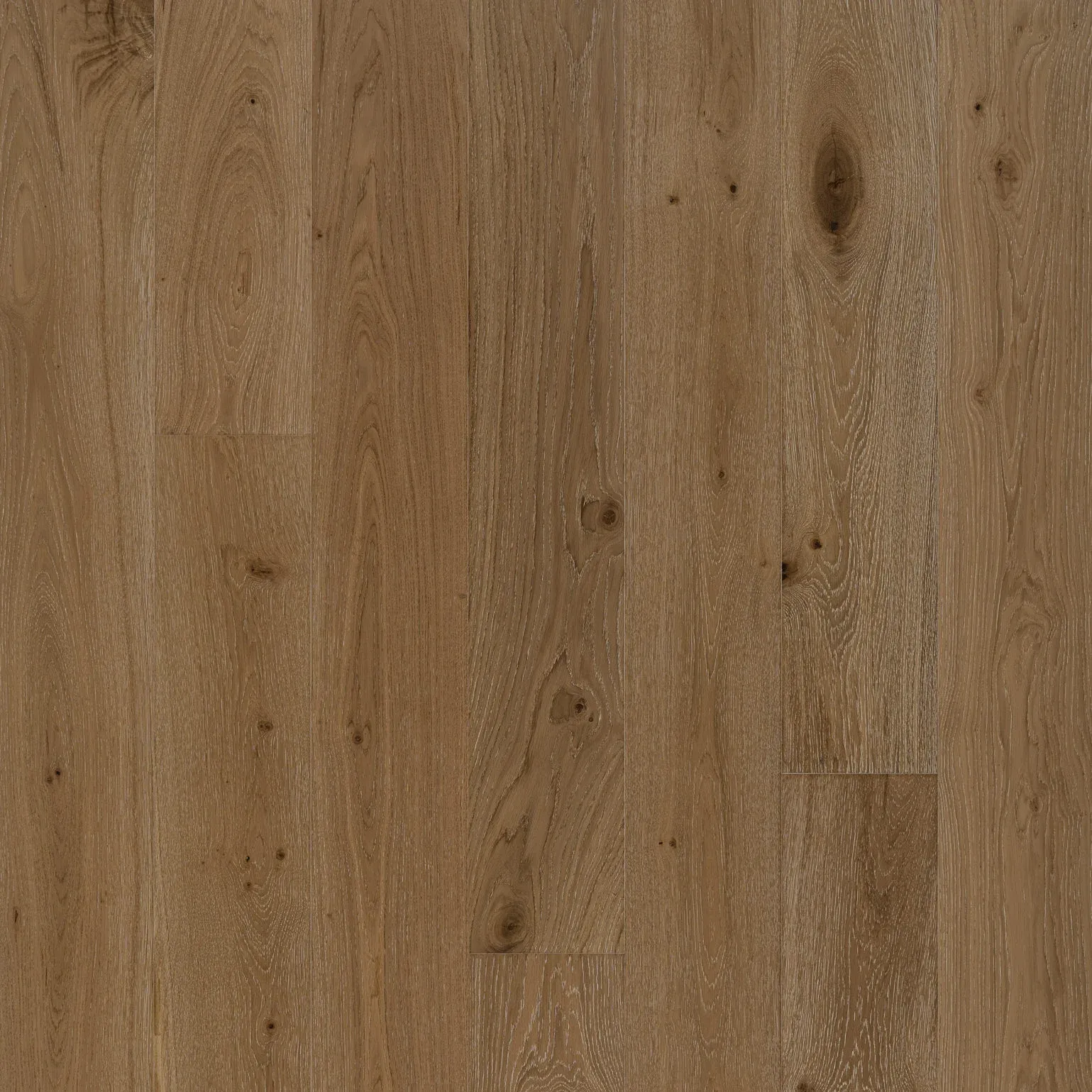Golden Elite - Opulence - Smoulder Oak