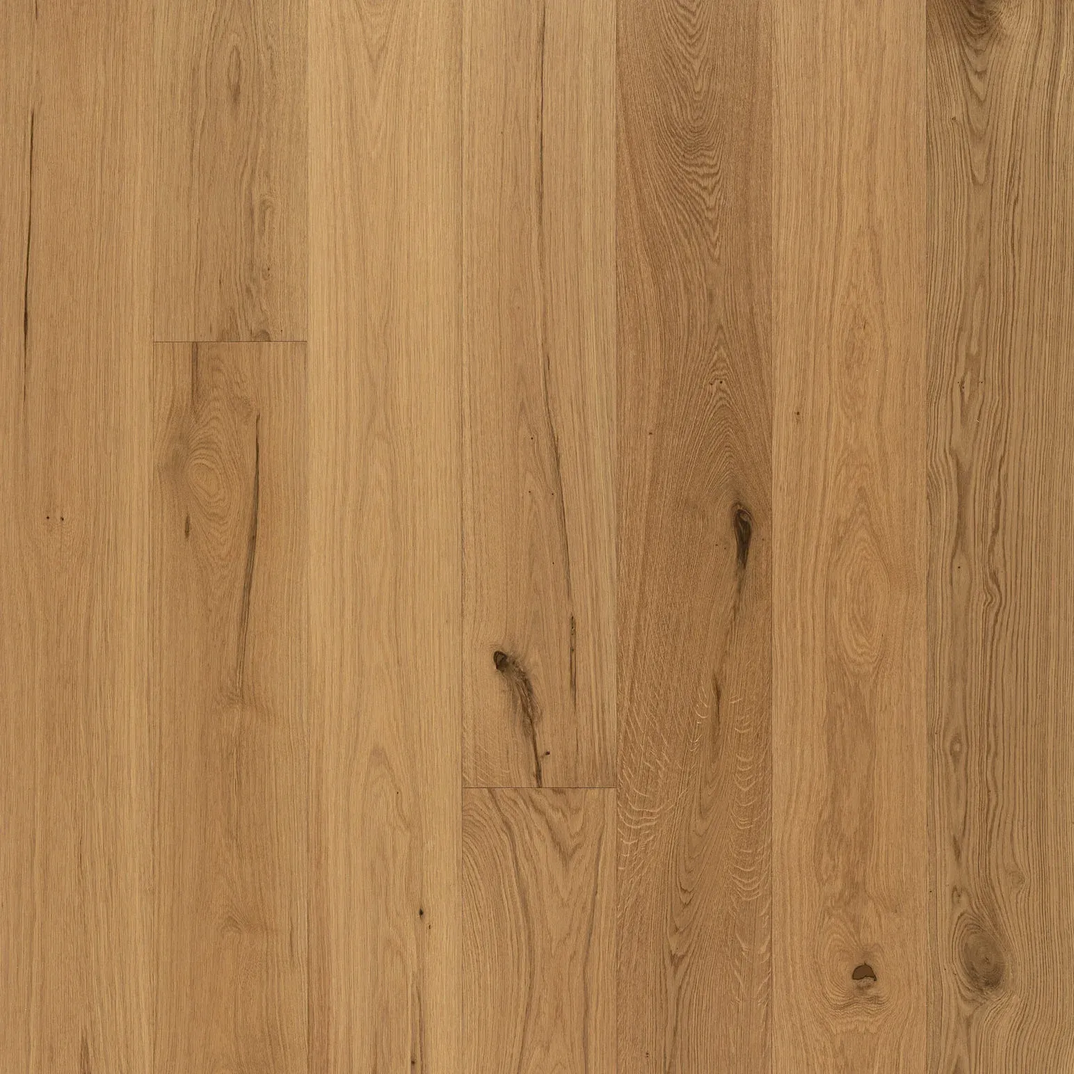 Golden Elite - Opulence - Tasman Oak